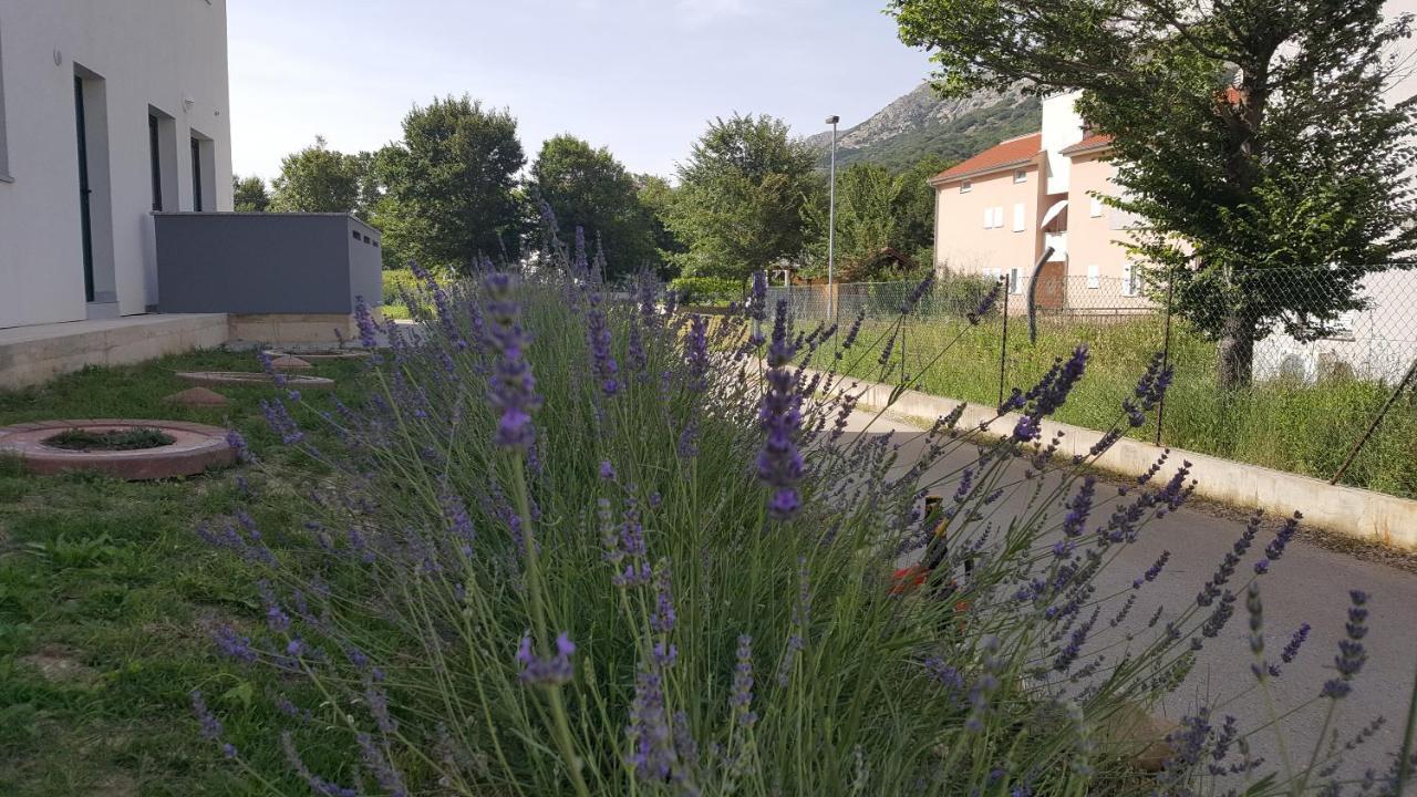 Studios Artemis Baska  Luaran gambar